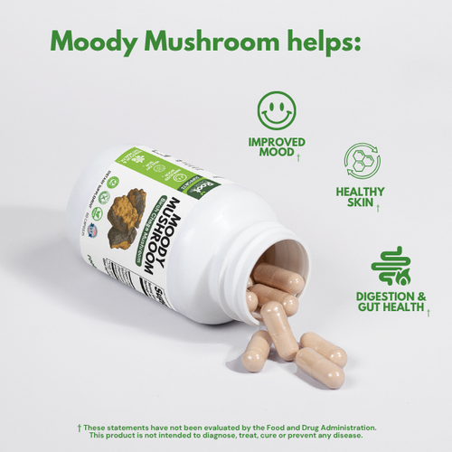 Moody Mushroom
