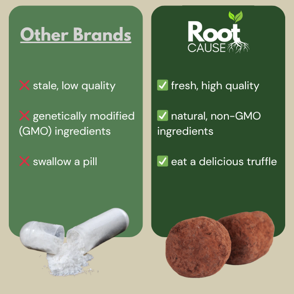 Cacao Chaga Chews